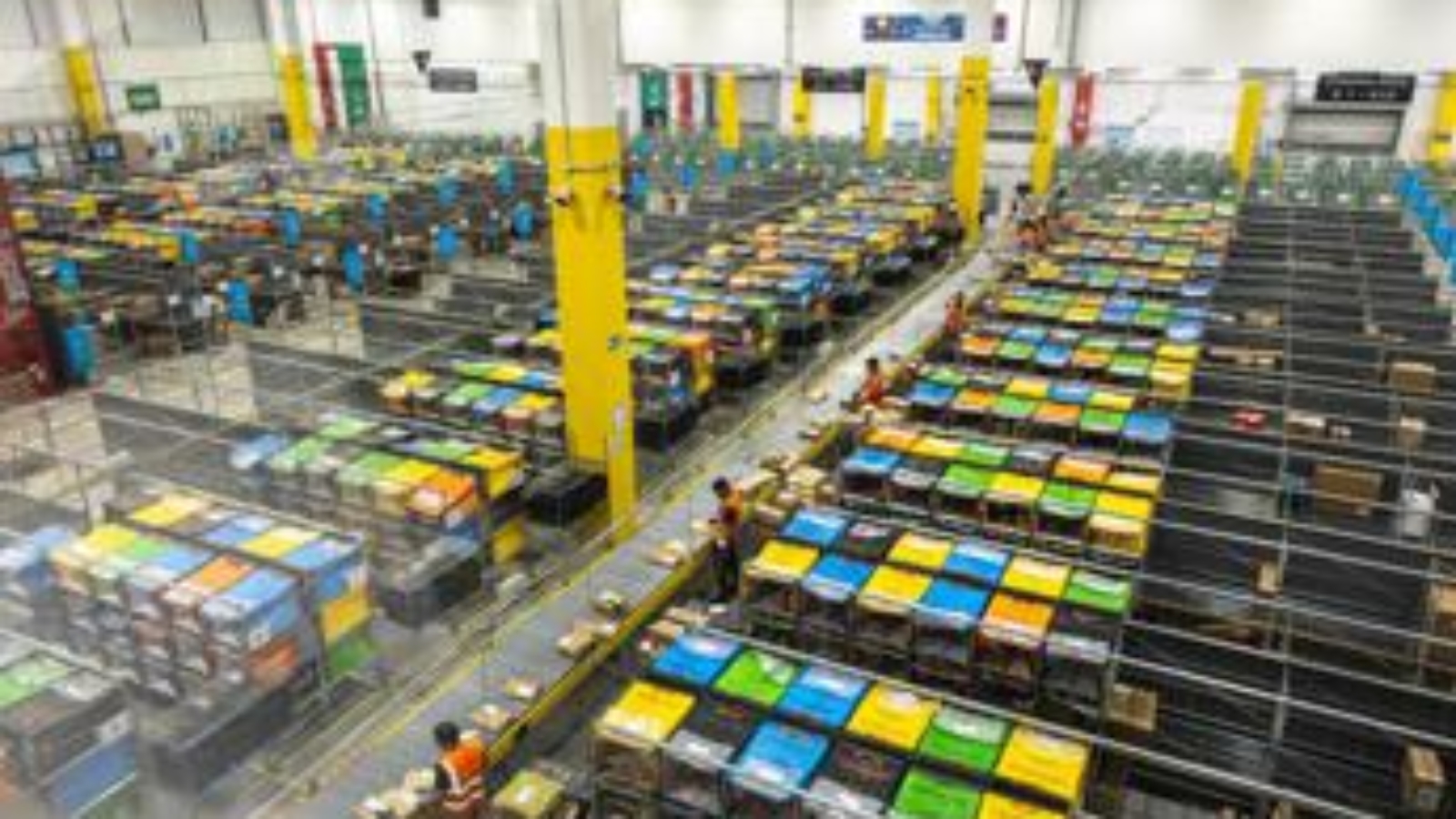 Fibrosi cistica, Amazon e Lifc in un progetto per l'inclusione lavorativa