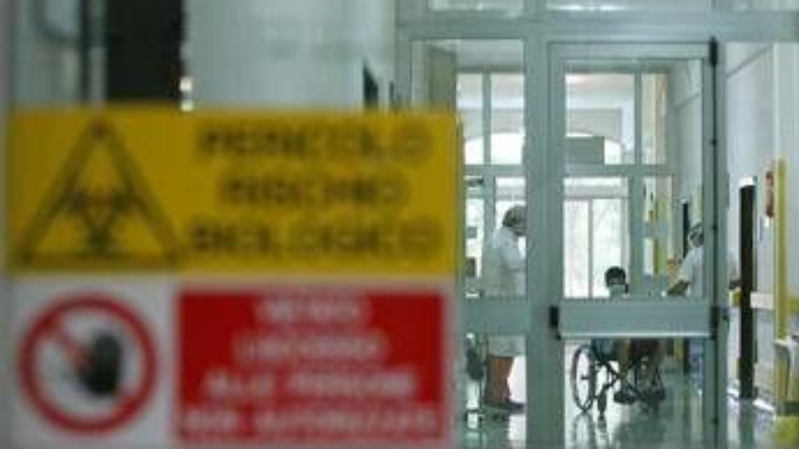 Aviaria, l'allarme: "C'è rischio che diventi pandemia come il Covid"