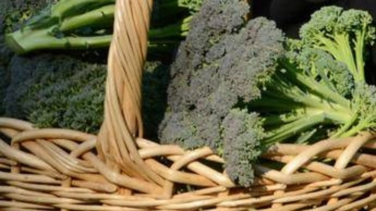 Broccoli superfood anti-aging, l'immunologo-nutrizionista: "Non può mancare 2 volte a settimana, sorprendente e salutare"