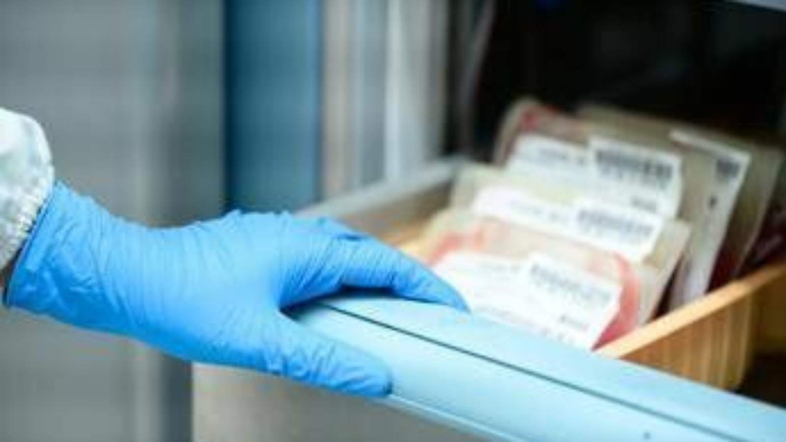 Tumori, cellule Carcik made in Italy efficaci contro la leucemia dei bimbi