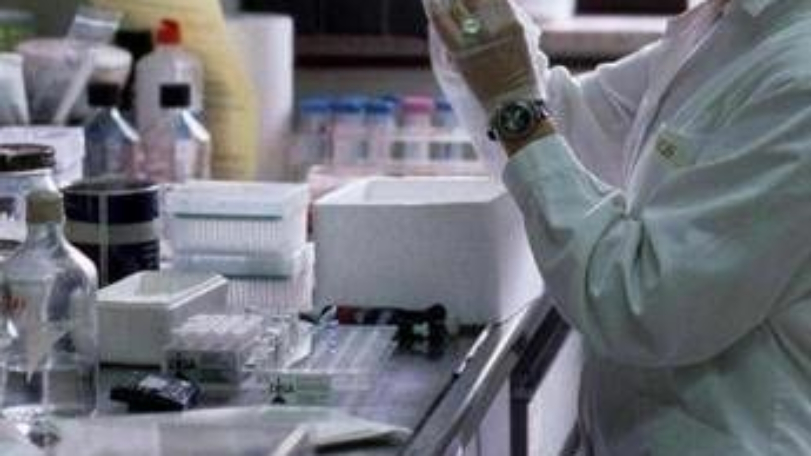 Cancro gastrico metastatico, anticorpo farmaco-coniugato migliora sopravvivenza