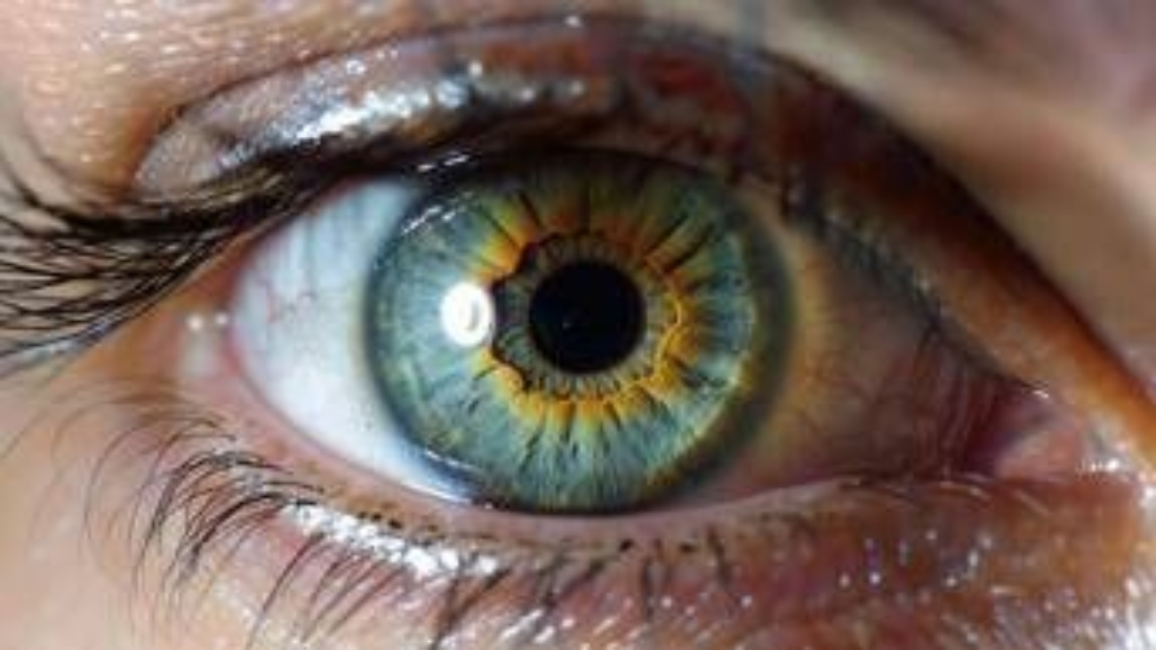 Medicina, in Abruzzo prima terapia genica per la maculopatia