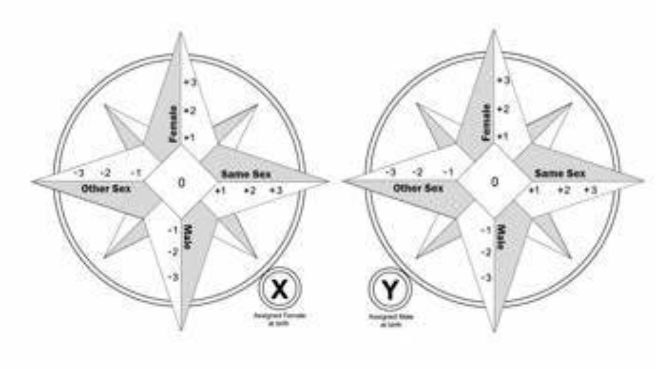 Chi sono, chi mi sento? Xygo misura orientamento e identità genere, studio