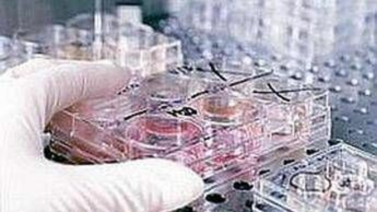 Fecondazione, non solo endometriosi: il nuovo protocllo che combatte l'adenomiosi