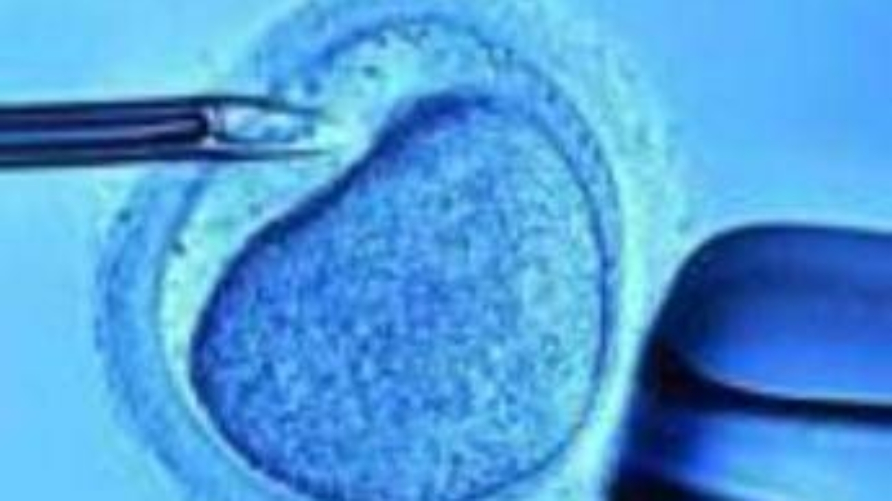 Fecondazione, mamme senza bombe ormonali con meno rischi aborto: 'svolta per over 40'
