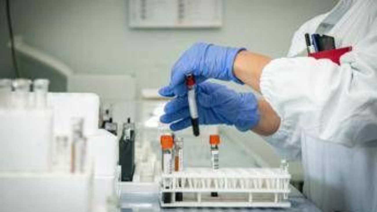 Mielofibrosi, ematologo: "Con uso precoce momelotinib maggiore sopravvivenza"