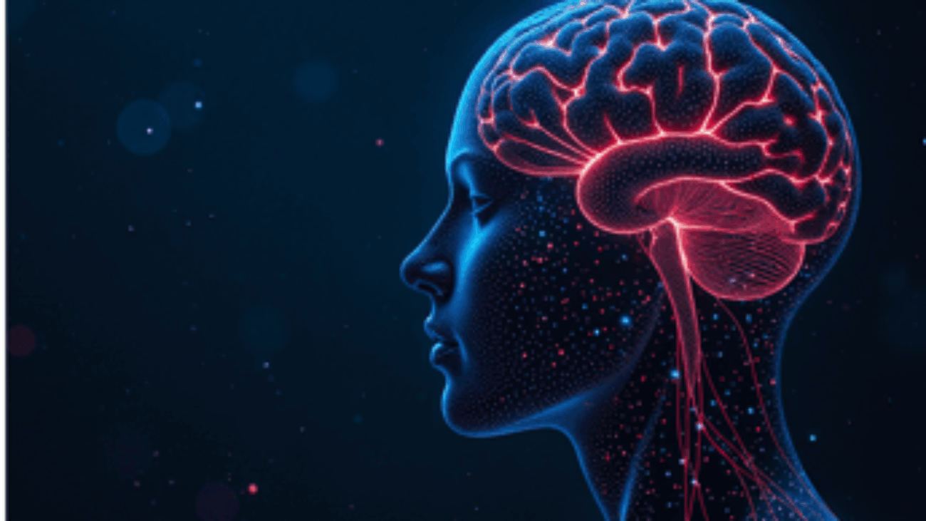 Estate, i consigli dei neurologi per la salute del cervello in vacanza