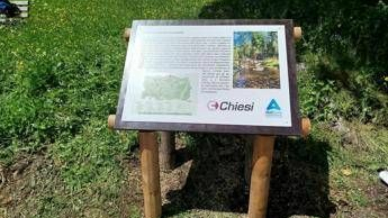 Farmaceutica, Mecchia (Chiesi): "Nel Sentiero del respiro salute e sviluppo sostenibile"