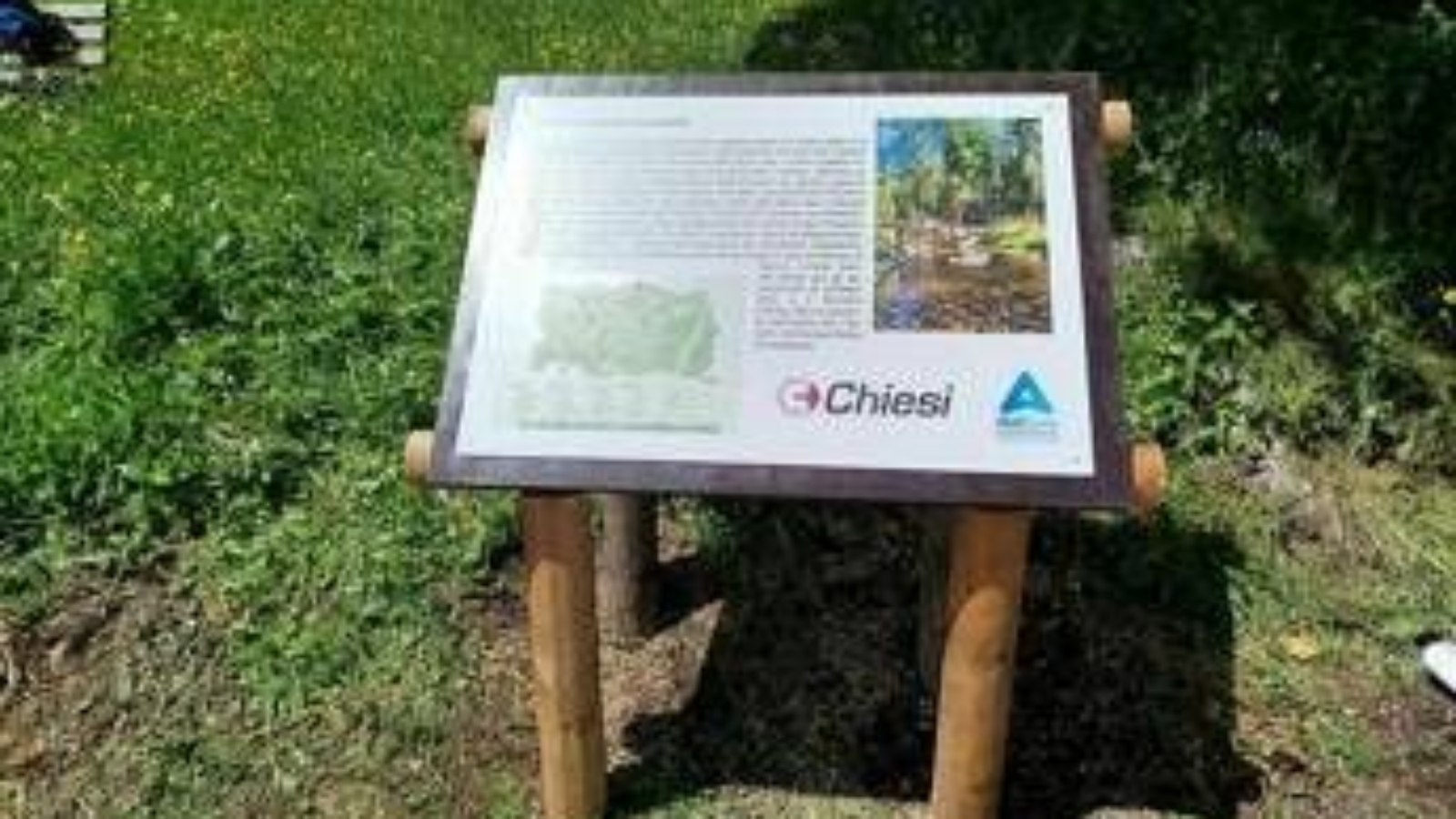 Farmaceutica, Mecchia (Chiesi): "Nel Sentiero del respiro salute e sviluppo sostenibile"