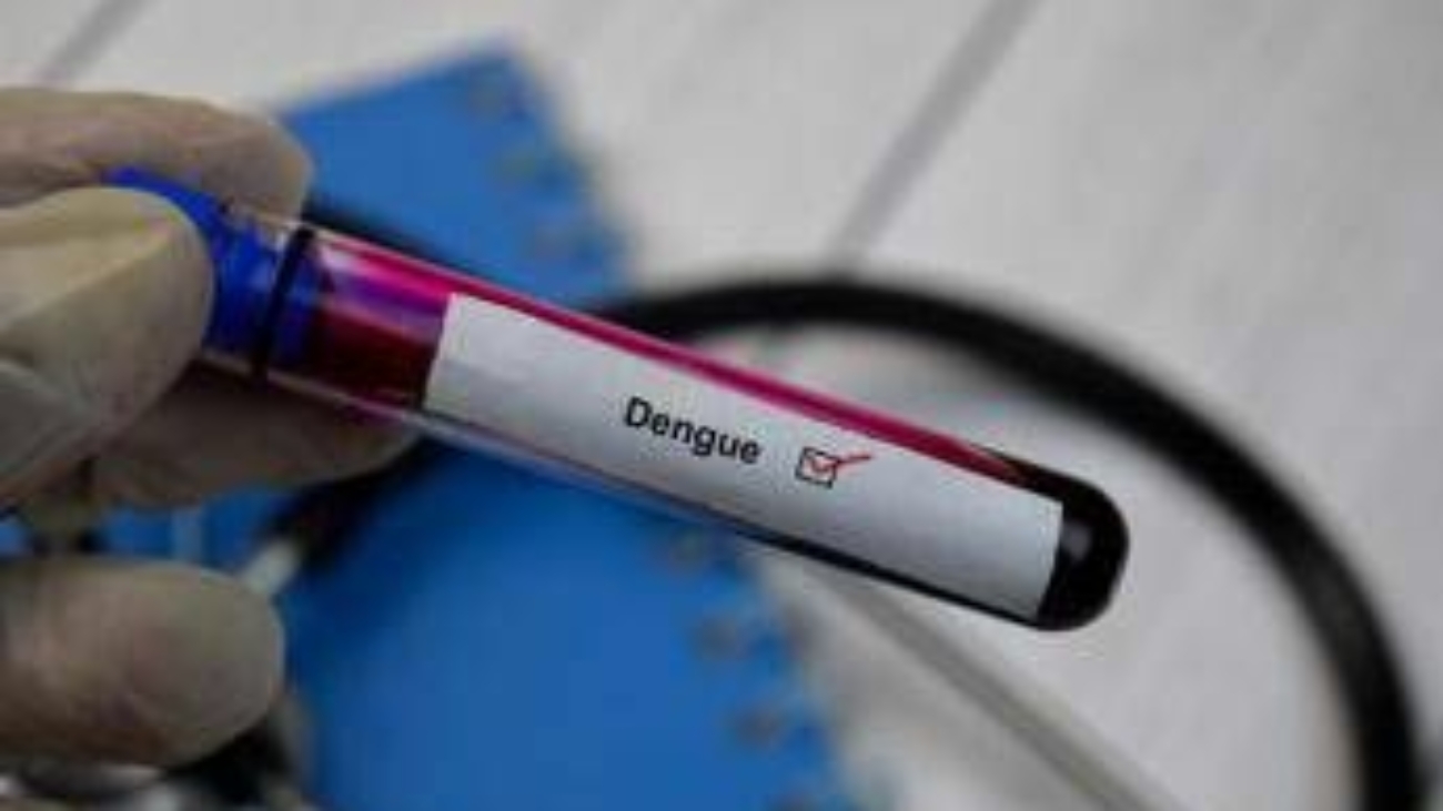 Dengue, salgono ancora i casi in Italia: 96 da inizio anno