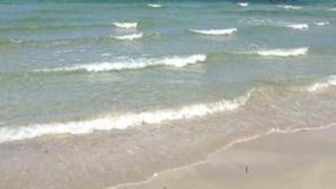 Estate, alert Ecdc: "Con mare più caldo sale rischio infezioni da batteri Vibrio"