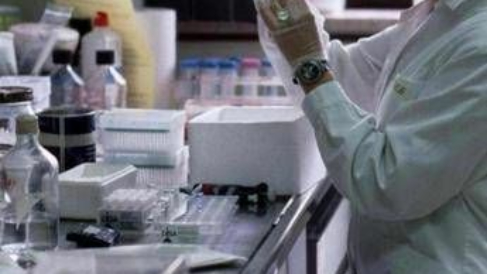 Tumori, in Sardegna oltre 10mila casi l'anno, esperti: "Vaccini fondamentali in fragili"