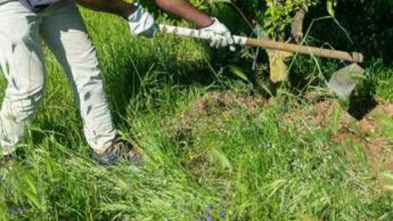 Caldo, Rebuzzi: "Può uccidere, impedire lavoro all'aperto nella morsa dell'afa"