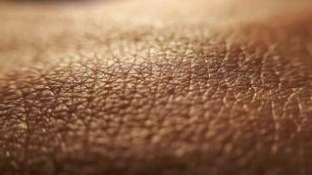 Medici ambiente, 'aumenta età biologica organismo e la pelle è più a rischio'