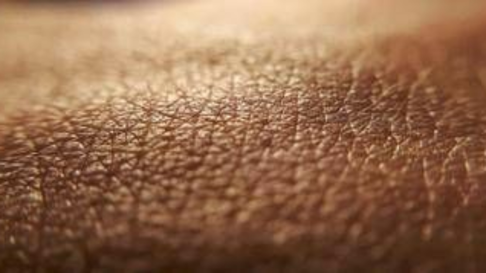 Medici ambiente, 'aumenta età biologica organismo e la pelle è più a rischio'