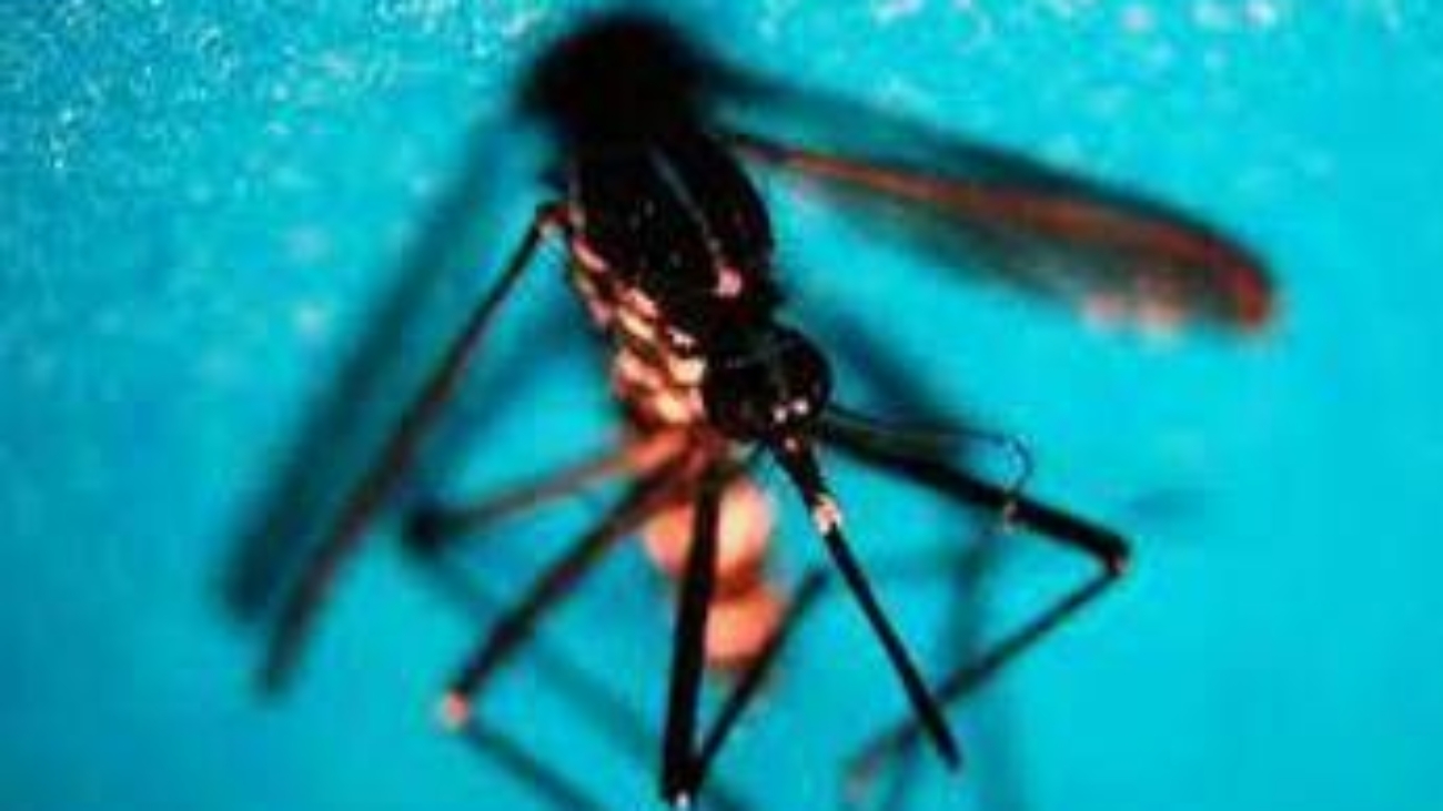 West Nile, Fism: "Apprezzamento per attività Dipartimento Prevenzione ministero Salute"