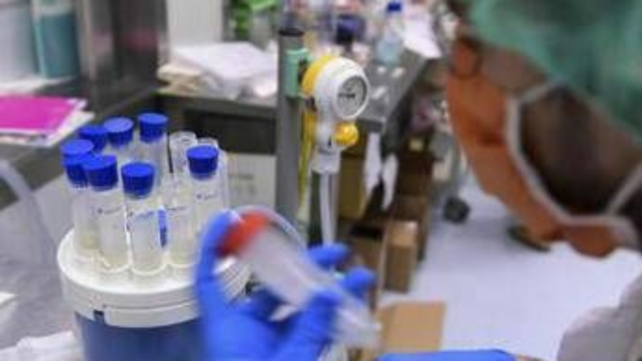 Mieloma multiplo recidivante, Ue approva nuove combinazioni belantamab mafodotin