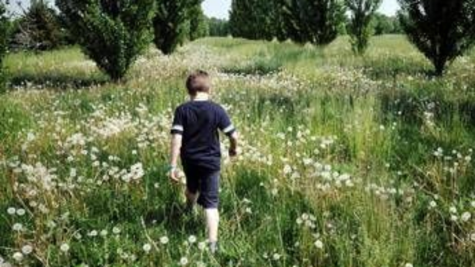 Bambini di campagna più a rischio diabete, la sorpresa da uno studio
