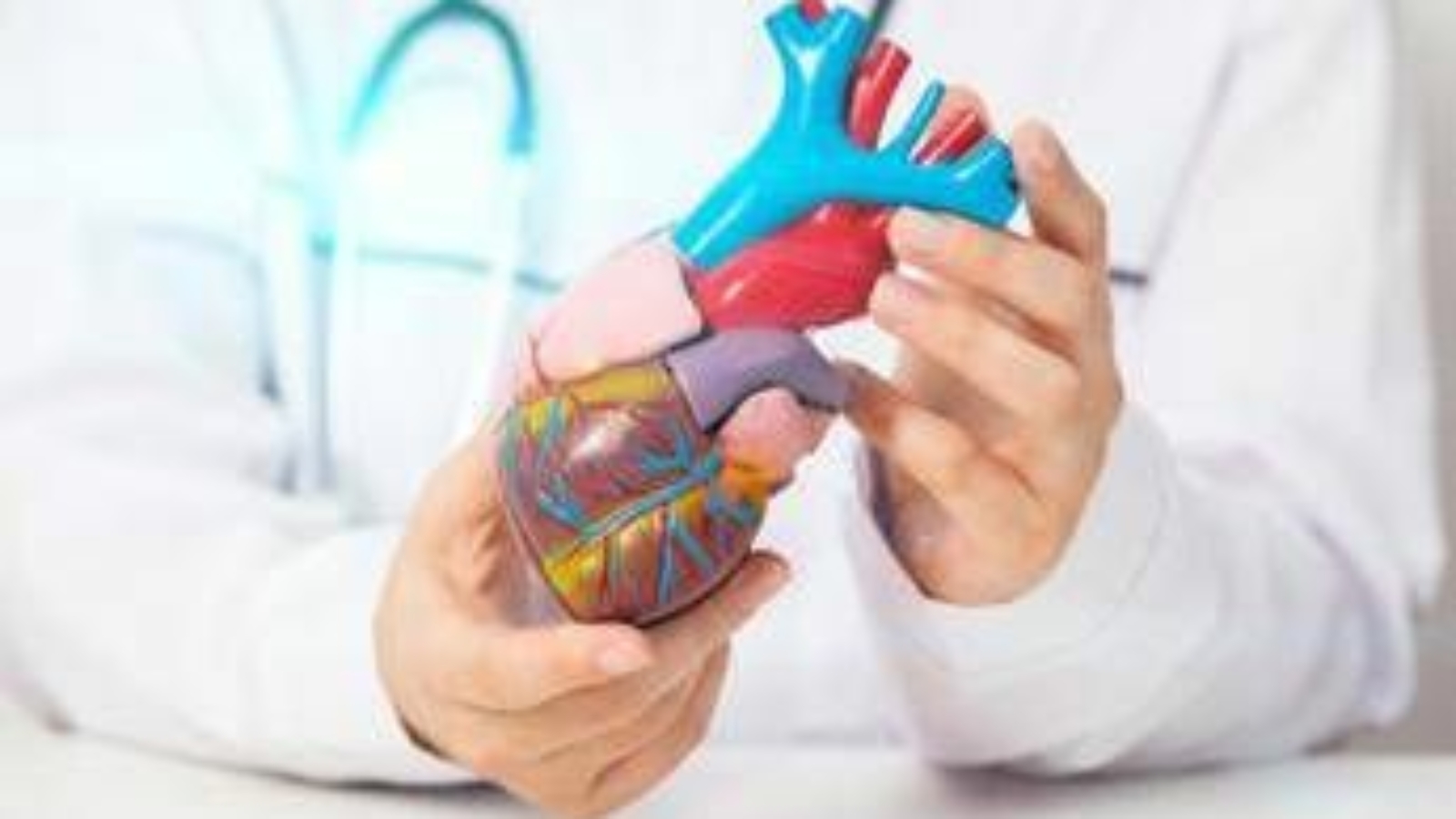 Come batte il cuore? Ingegneri e matematici italiani risolvono il mistero