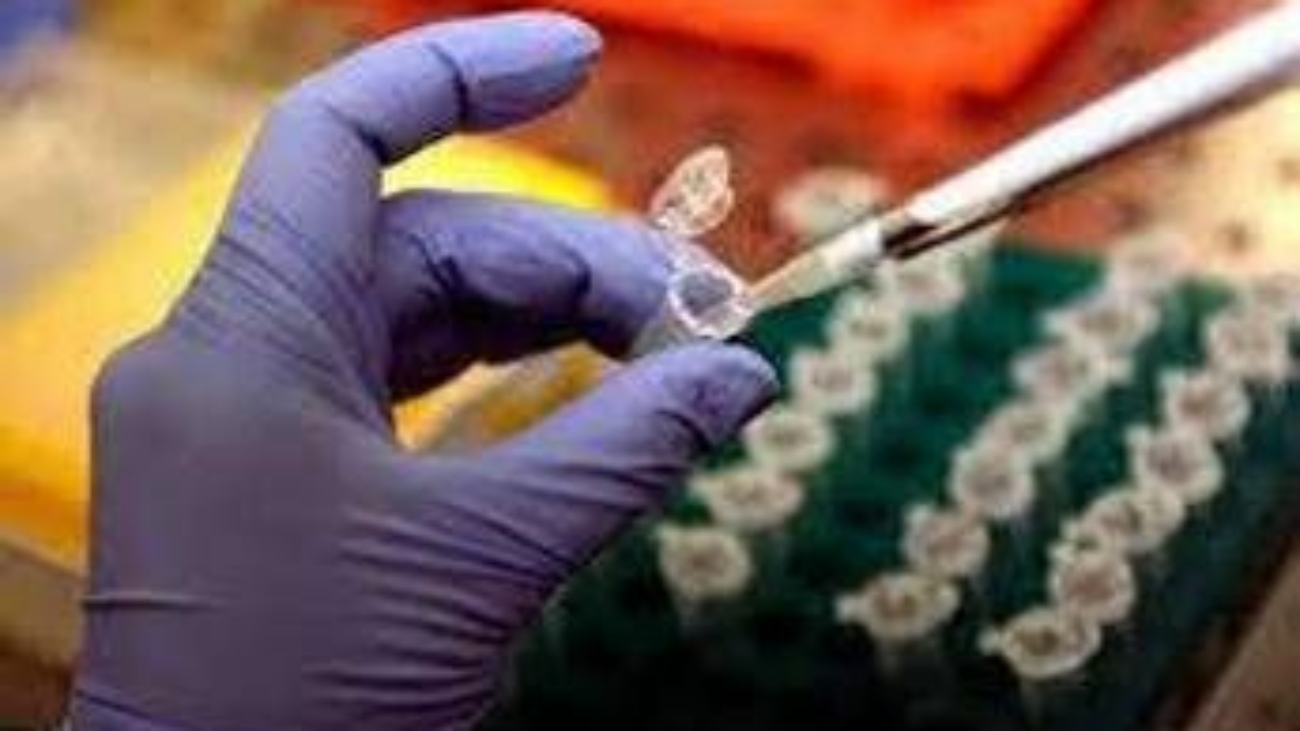 Ricerca, scoperto meccanismo che scatena rara malattia infantile