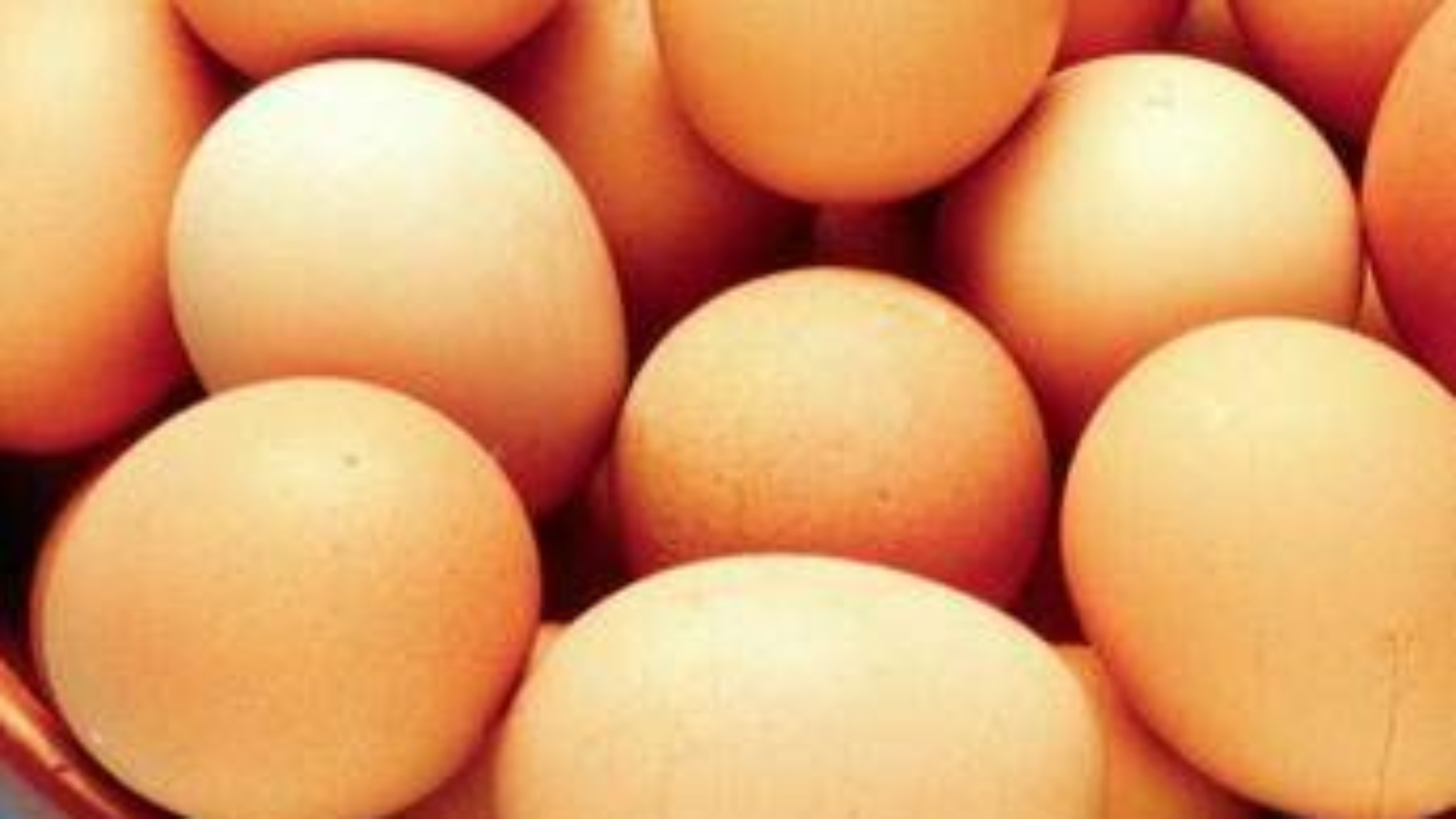 Salmonella, alert negli Usa: quasi 100 casi e uova ritirate dal mercato