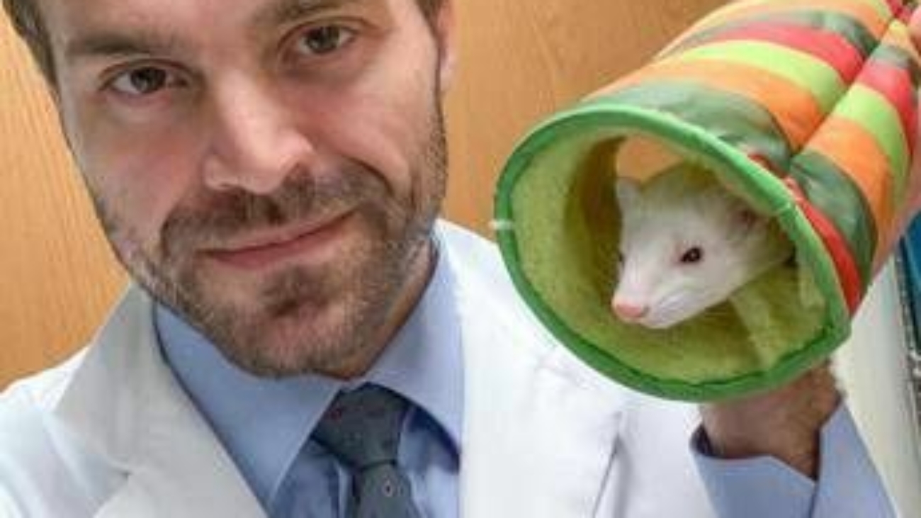 Estate, animali esotici da soli a casa? Il veterinario: "Non più di 24 ore"