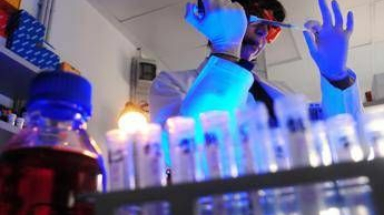 Tumori, proteina predice se cancro colon risponderà a chemio