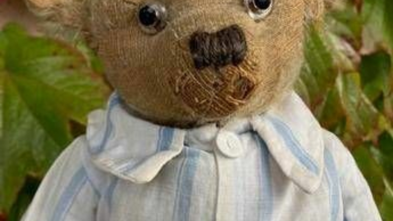 "A Teddy Bear serve un nuovo look". L'appello della scienza per peluche eco-maestri
