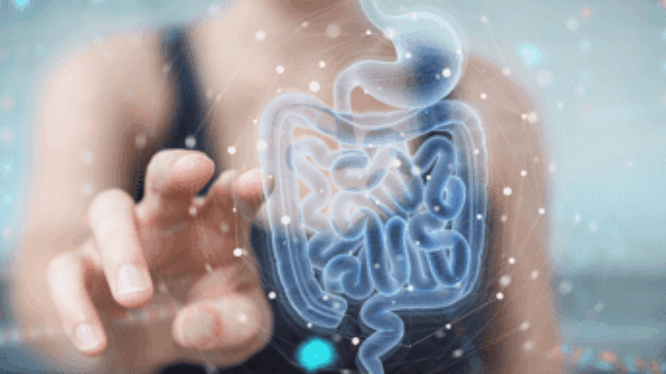 Malattie croniche dell'intestino, una guida pratica per clinici e pazienti per la migliore aderenza alle cure