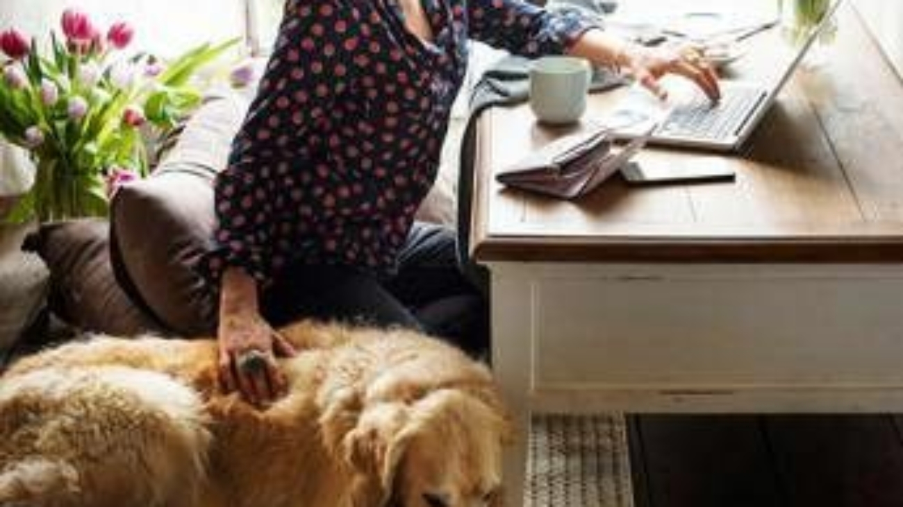 Dalla qualità della vita alla longevità: ecco gli effetti benefici del legame uomo-cane