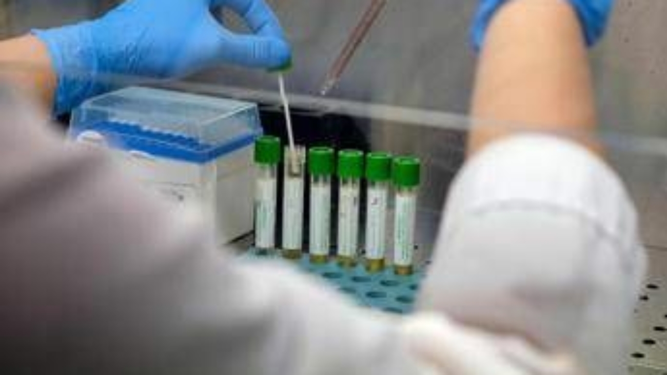 Medicina, italiani svelano errori nascosti nelle cellule: "Possibile ruolo in più malattie"