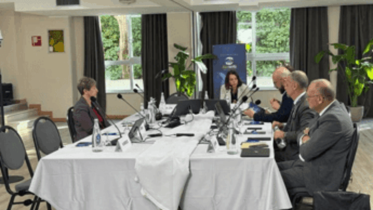 Tumori, Lazio, esperti: "Per cancro prostata diagnosi precoce, innovazione e sostenibilità"