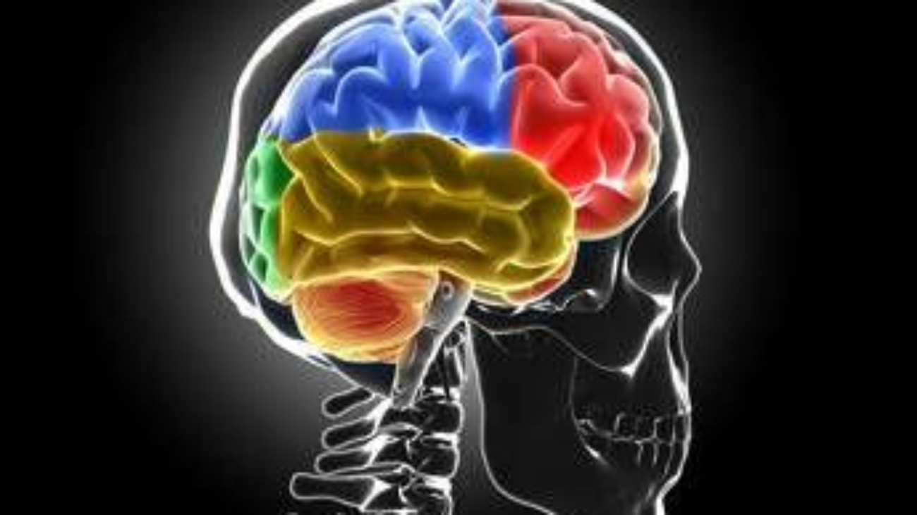 Scoperto nuovo meccanismo sviluppo sclerosi multipla, studio italiano