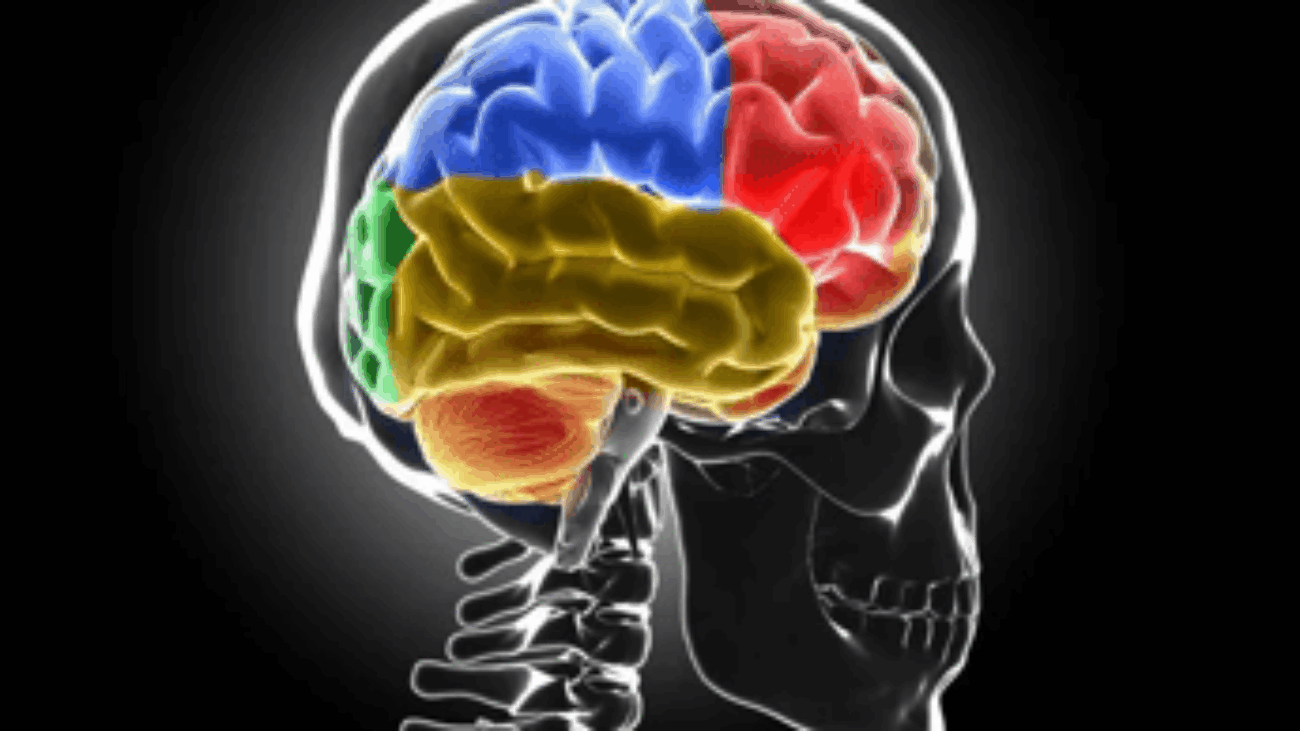 Sclerosi multipla, Bandiera (Aism): "Caregiver fondamentali ma ancora invisibili"