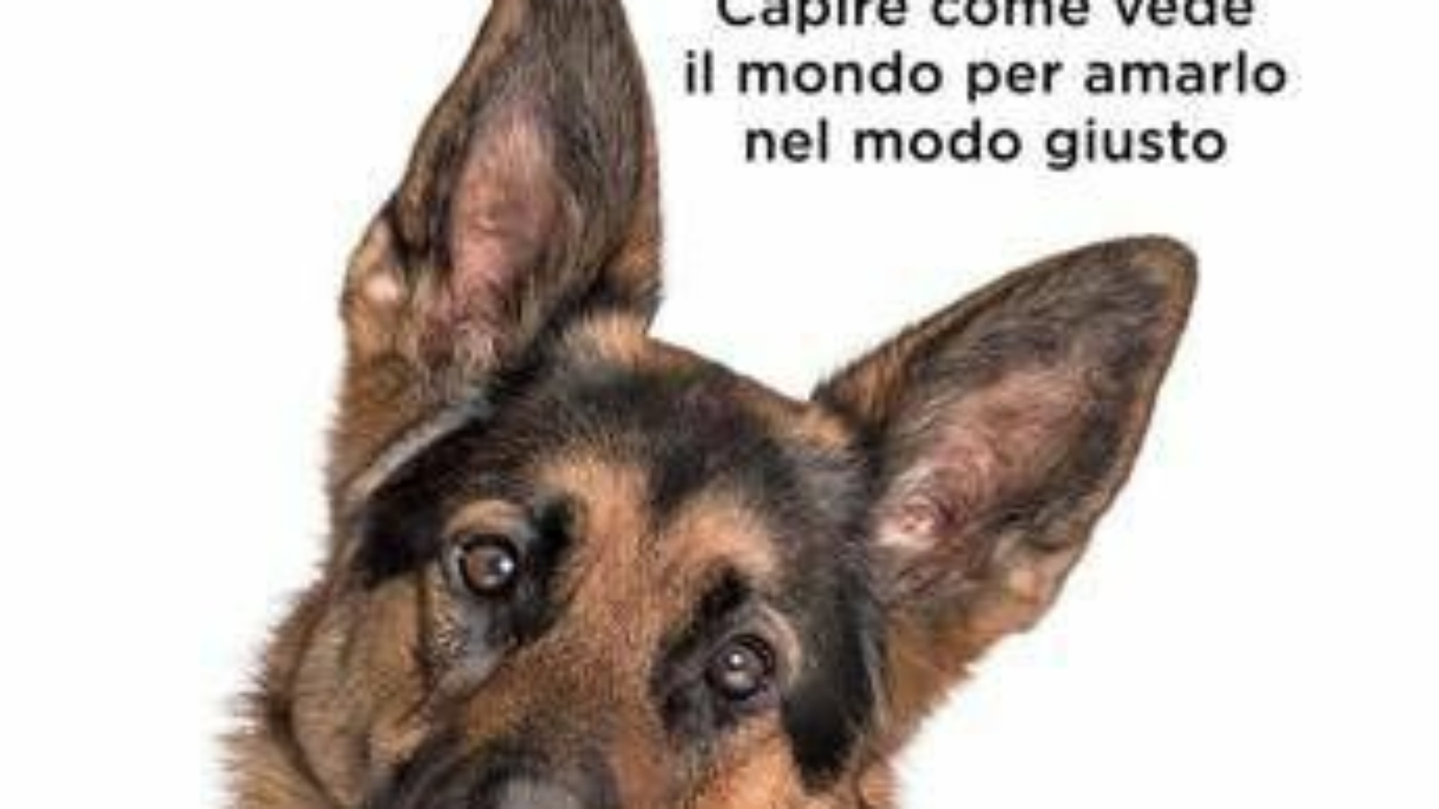In libreria 'Con gli occhi del tuo cane' di Federico Coccìa, "Non si possono clonare, hanno un'anima"