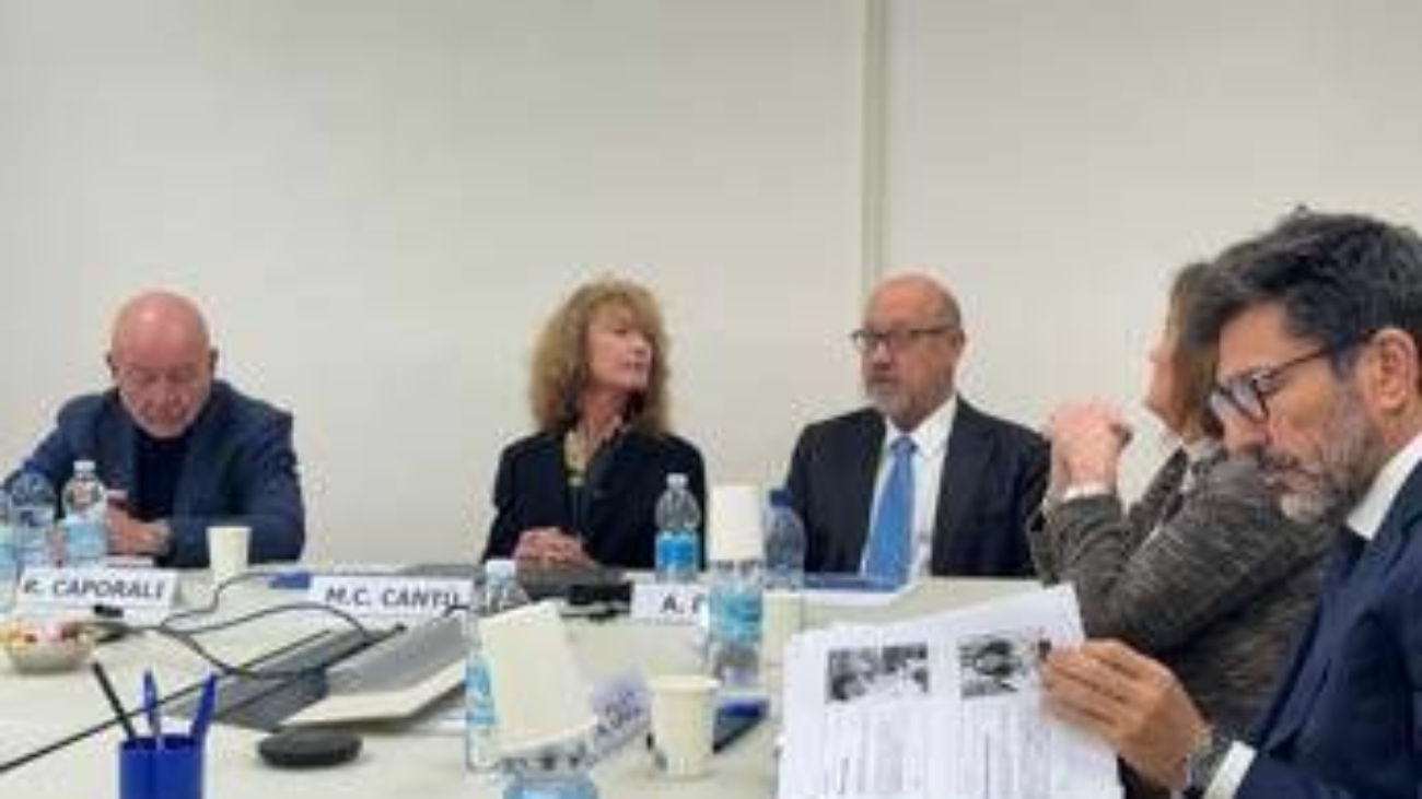 Reumatologi, al Congresso Sir terapie che regolano il sistema immunitario