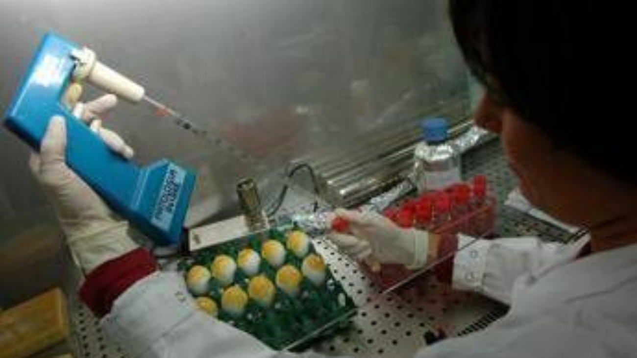 Aviaria, morto negli Usa il primo caso umano di H5N5