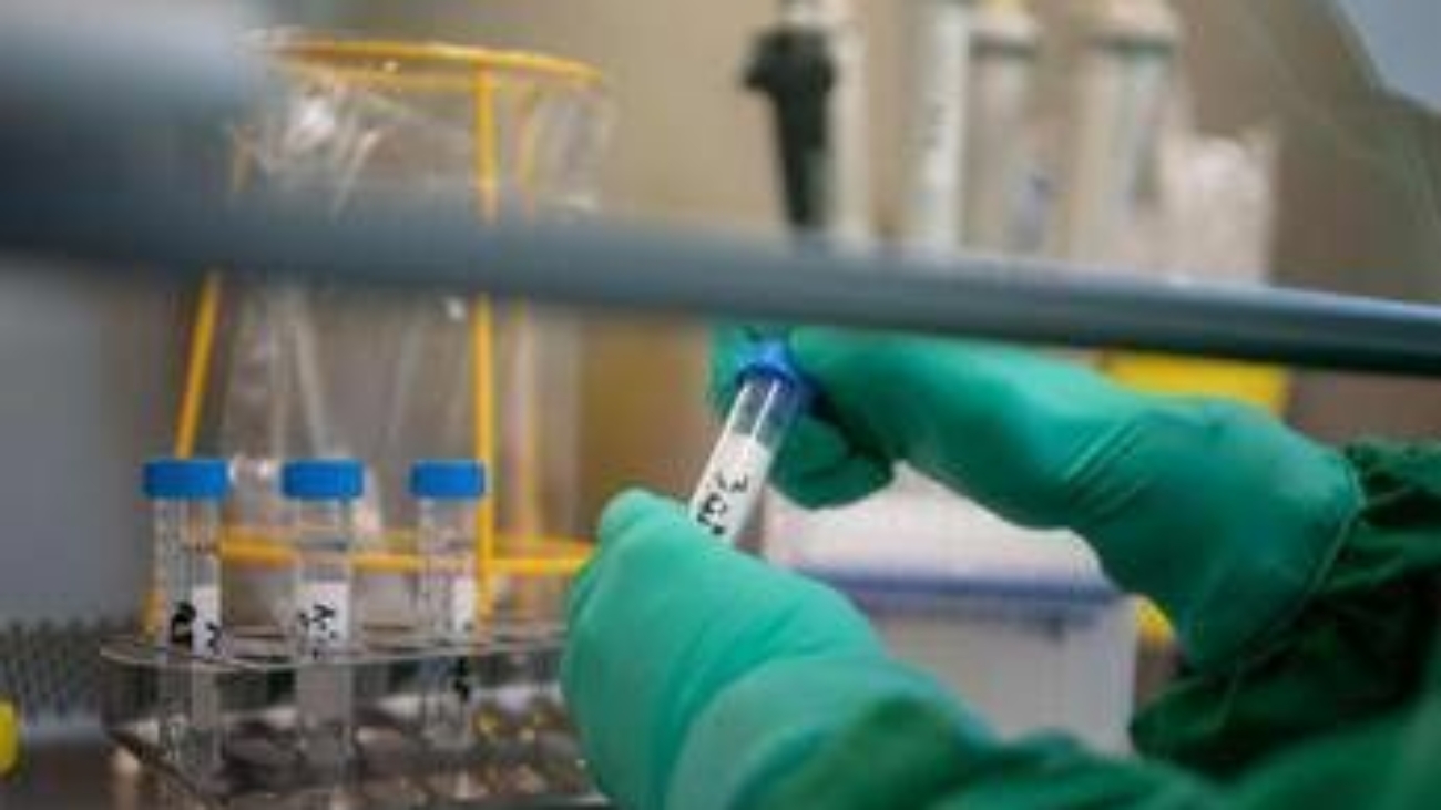 Tumori, lo studio: scoperto interruttore molecolare per 'riconvertire' le cellule maligne