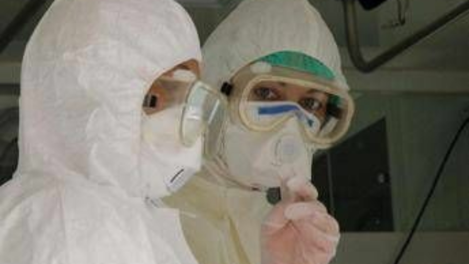 Aviaria, primo caso umano da H5N5: in Usa ricoverato un anziano