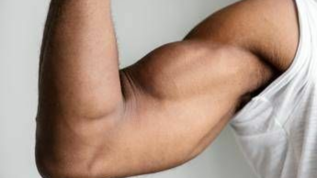 Ecco perché i muscoli invecchiano, lo studio italiano svela il ruolo dei perossisomi