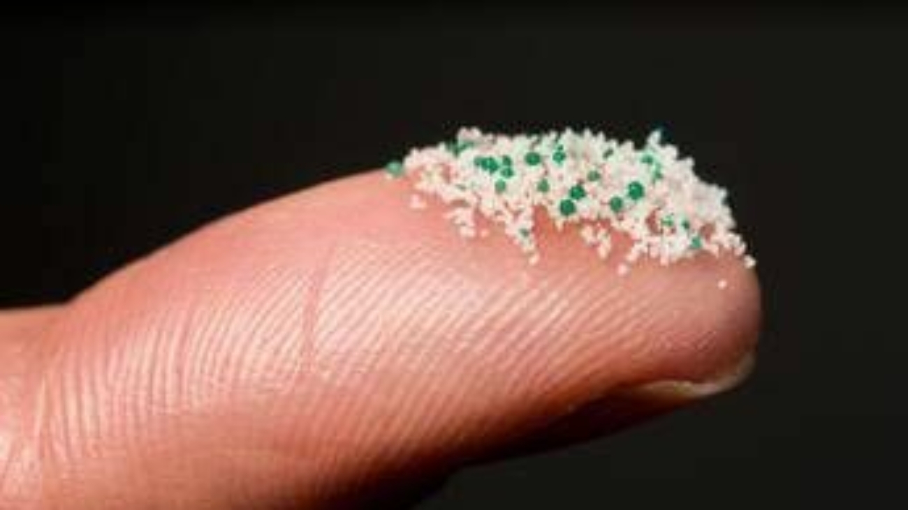 Medici ambiente, 'da cervello a placenta microplastiche ovunque nel nostro corpo