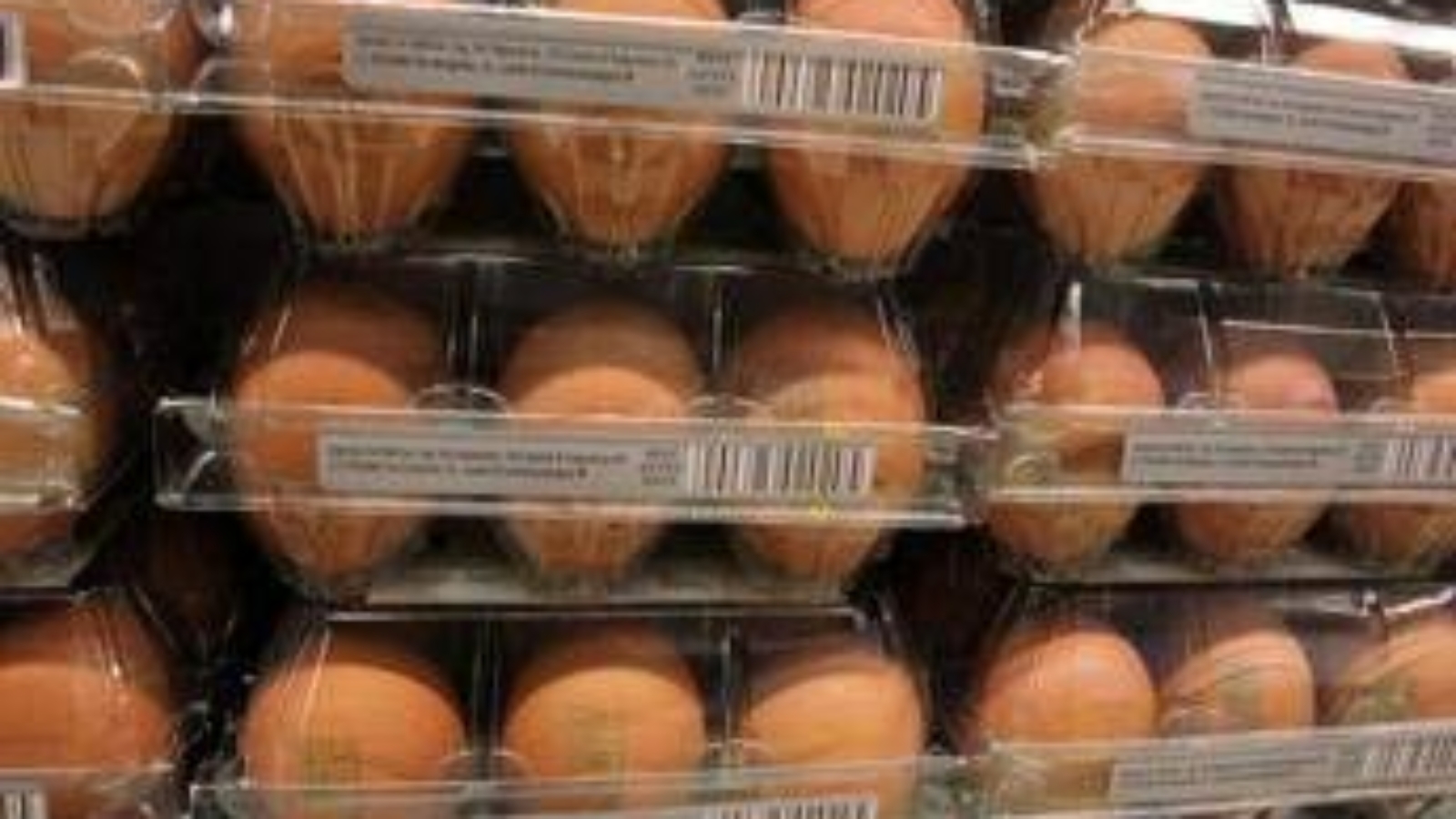 Quanti errori in cucina, dal frigo all'igiene: il decalogo dell'Iss per pasti sicuri