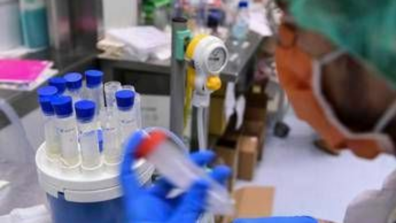 Legionella, il batterio che ama tubature e condizionatori: casi in aumento in Italia