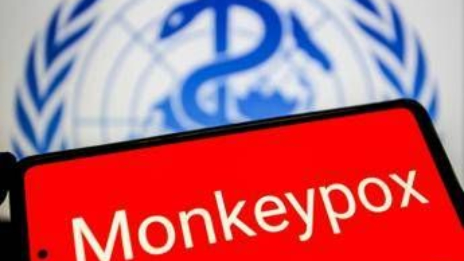 Vaiolo delle scimmie, Oms: "Mpox continua a circolare, a novembre 2.150 casi e 5 morti"