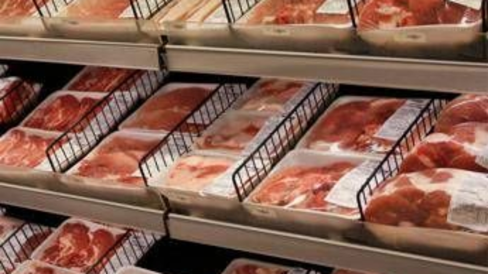 Alimentazione, esperta Iss: "Linee guida Usa? Fatte per americani, non stravolgono"