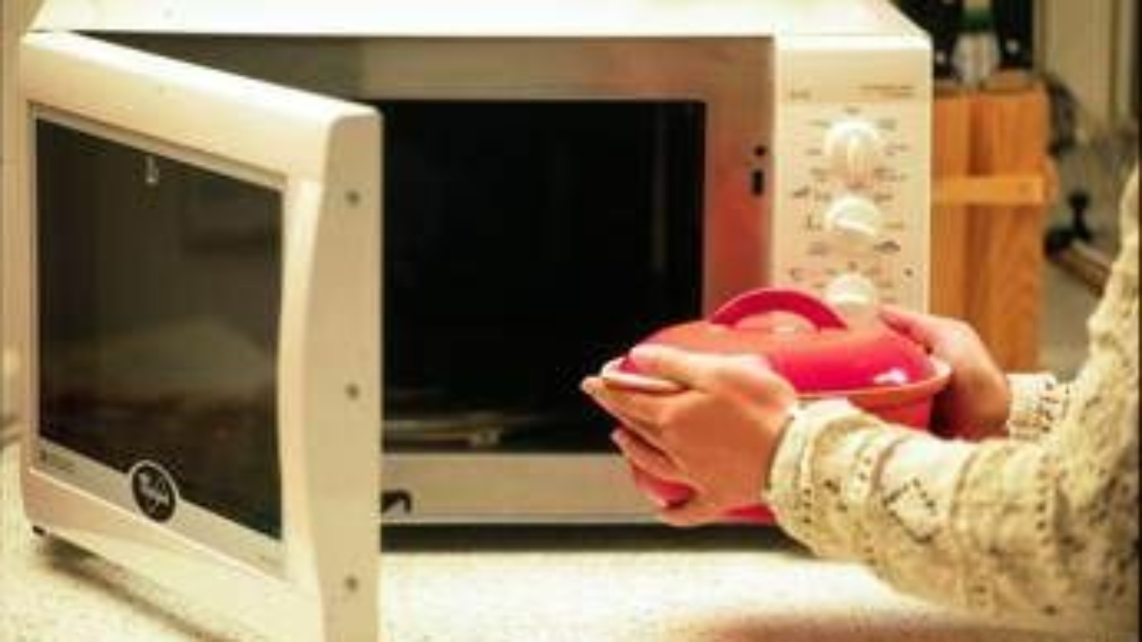 Forno a microonde fa male? Iss: "Non rende cibi meno sani"