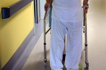 Fnopi: "Riconoscere all'interno dei Lea il ruolo strategico degli infermieri"