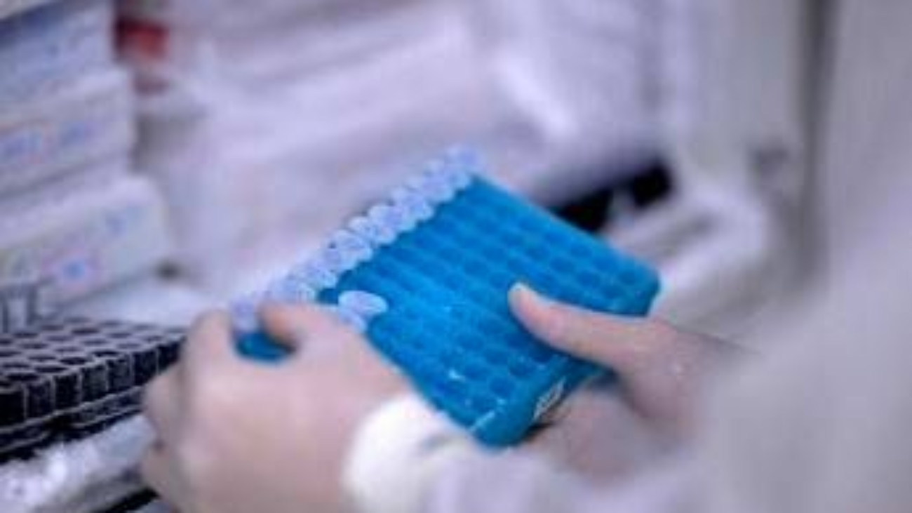 Scoperto il virus gigante Ushikuvirus, lo studio: "Può darci indizi su origine della vita"