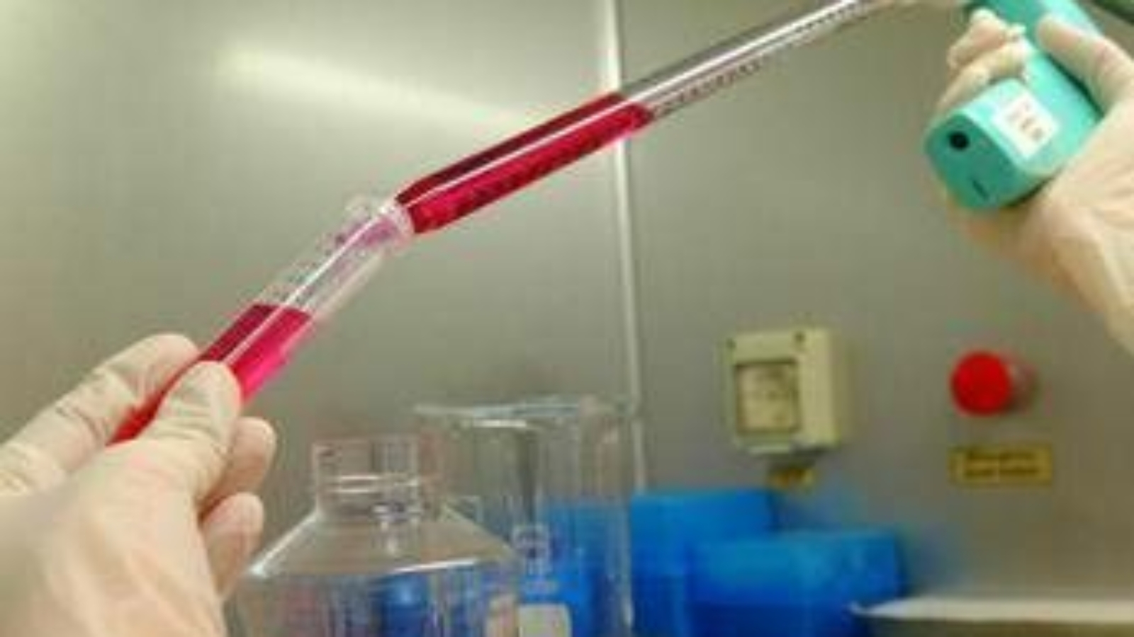 Genetista Novelli: "Noi fondamentali per dare identità a vittime Crans Montana"