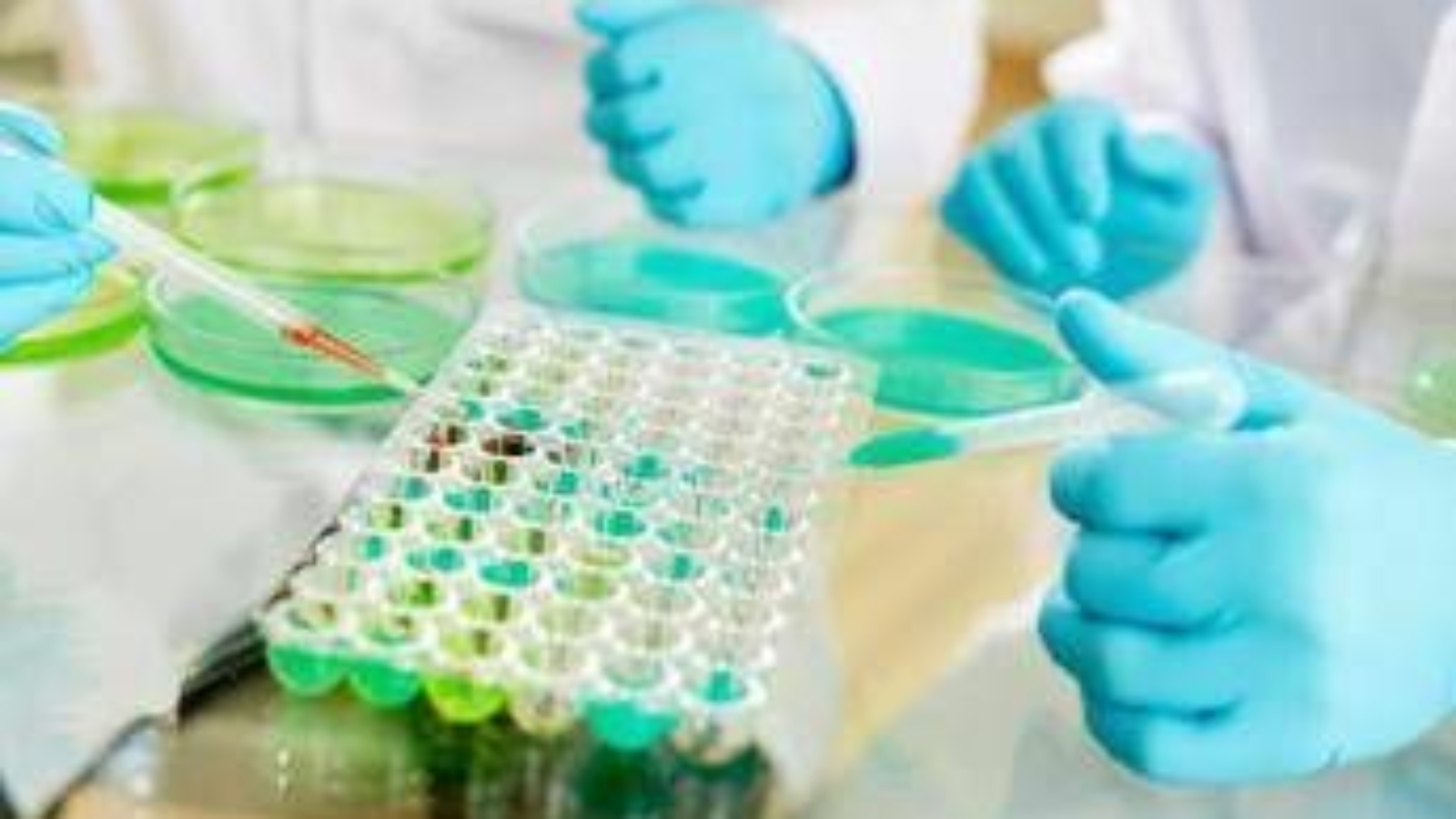 Studi no profit, nasce l'alleanza tra Fondazione Veronesi e Ficog